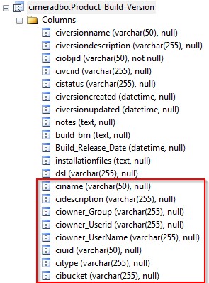 Reporting DB Schema - product build version